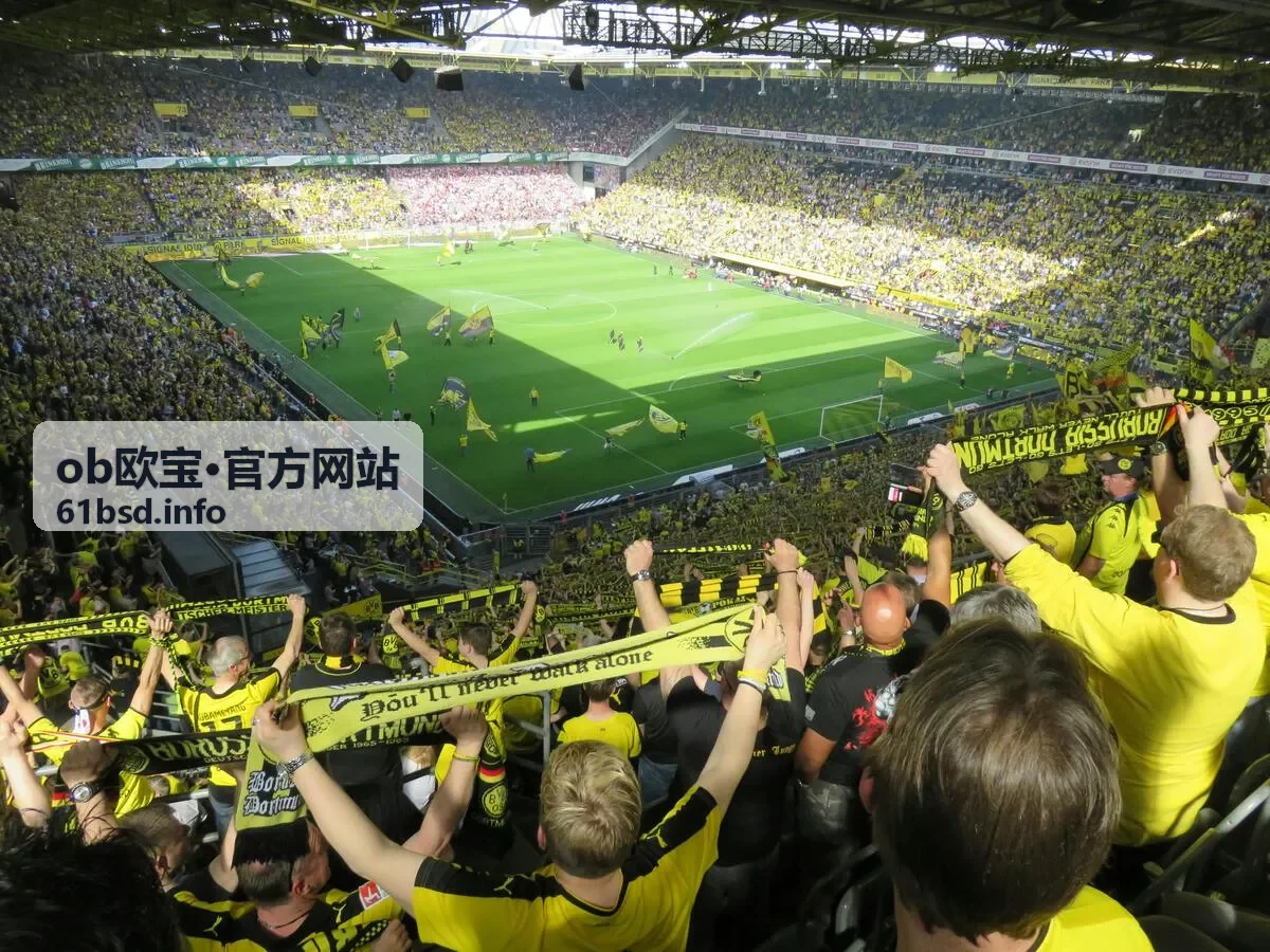 欧宝OB行业观察报告封面